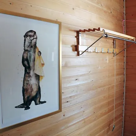 Taloyllaes, Huonemajoitus