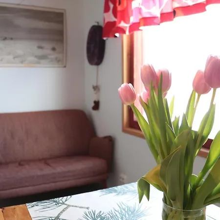 招待所 Taloyllaes, Huonemajoitus *