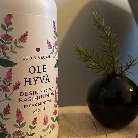 Gæstehus Taloyllaes, Huonemajoitus *