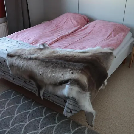 Pensionat Taloyllaes, Huonemajoitus