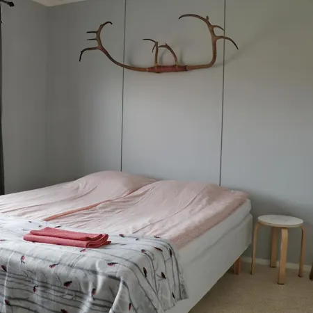 Taloyllaes, Huonemajoitus *